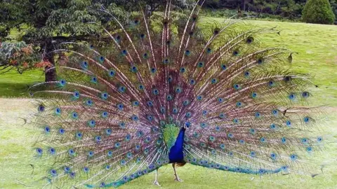 Családi élménynap a Bella Állatparkban, Siófokon 6