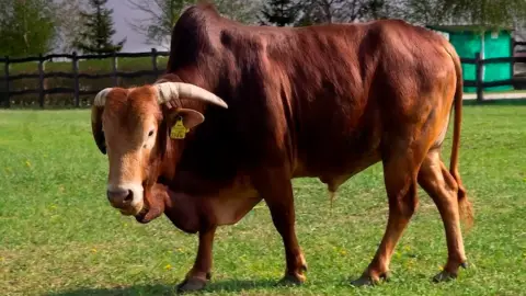 Családi élménynap a Bella Állatparkban, Siófokon 10