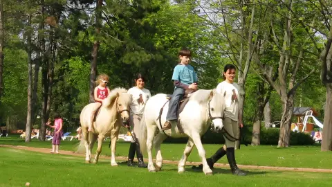 Családi élménynap a Bella Állatparkban, Siófokon 11