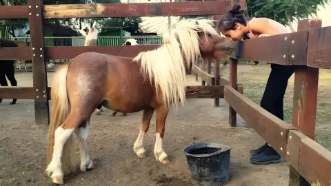 Családi élménynap a Bella Állatparkban, Siófokon 7