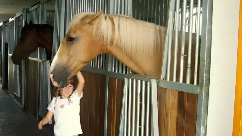 Családi élménynap a Bella Állatparkban, Siófokon 13