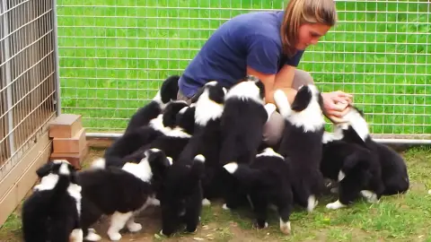 Családi élménynap a Bella Állatparkban, Siófokon 17