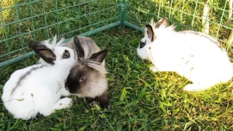 Családi élménynap a Bella Állatparkban, Siófokon 25