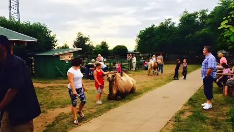 Családi élménynap a Bella Állatparkban, Siófokon 22