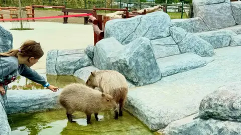 Családi élménynap a Bella Állatparkban, Siófokon 23