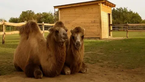 Családi élménynap a Bella Állatparkban, Siófokon 28