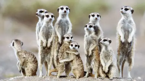 Családi élménynap a Bella Állatparkban, Siófokon 26