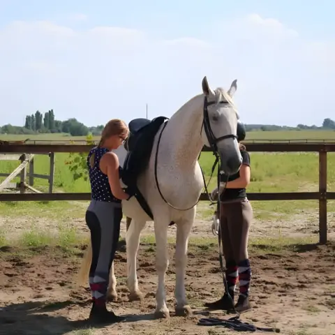 Karámban történő lovaglás haladóknak Lajosmizsén (oktatással)