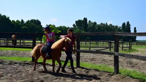 Tereplovaglás gyakorlott lovasoknak kísérővel Lajosmizsén 2