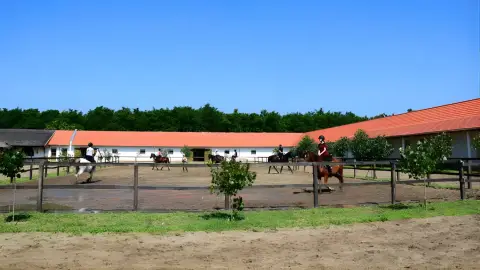 Tereplovaglás gyakorlott lovasoknak kísérővel Lajosmizsén 3