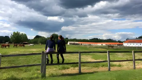 Tereplovaglás gyakorlott lovasoknak kísérővel Lajosmizsén 4