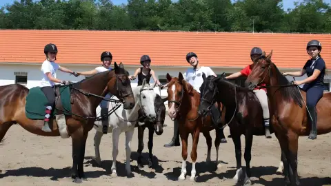 Tereplovaglás gyakorlott lovasoknak kísérővel Lajosmizsén 8