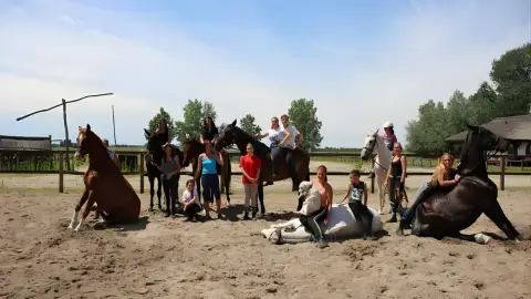 Tereplovaglás gyakorlott lovasoknak kísérővel Lajosmizsén 9