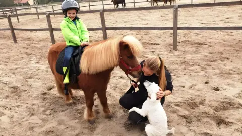 Tereplovaglás gyakorlott lovasoknak kísérővel Lajosmizsén 11