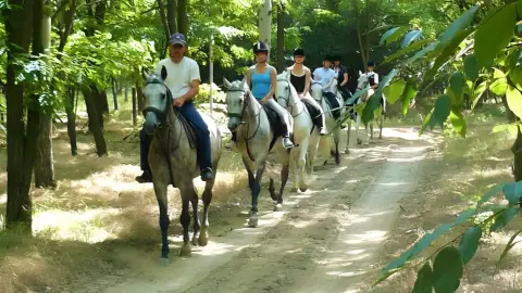 Tereplovaglás gyakorlott lovasoknak kísérővel Lajosmizsén 14