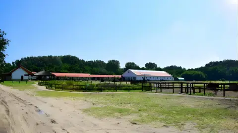 Tereplovaglás gyakorlott lovasoknak kísérővel Lajosmizsén 15