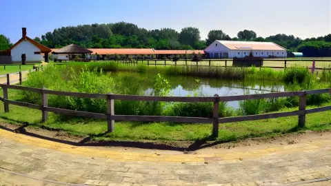 Tereplovaglás gyakorlott lovasoknak kísérővel Lajosmizsén 16