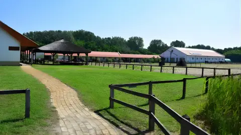 Tereplovaglás gyakorlott lovasoknak kísérővel Lajosmizsén 18