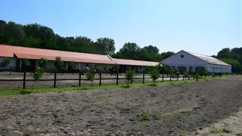 Tereplovaglás gyakorlott lovasoknak kísérővel Lajosmizsén 19