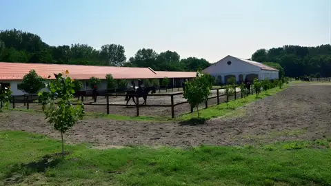 Tereplovaglás gyakorlott lovasoknak kísérővel Lajosmizsén 20