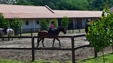 Tereplovaglás gyakorlott lovasoknak kísérővel Lajosmizsén 21