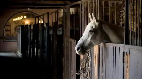 Geréby Kúria Hotel és Lovasudvar: 2 éjszaka kettesben – Lovaglással! 11