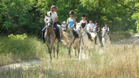 Geréby Kúria Hotel és Lovasudvar: 2 éjszaka kettesben – Lovaglással! 28