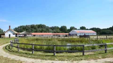 Geréby Kúria Hotel és Lovasudvar: 2 éjszaka kettesben – Lovaglással! 29