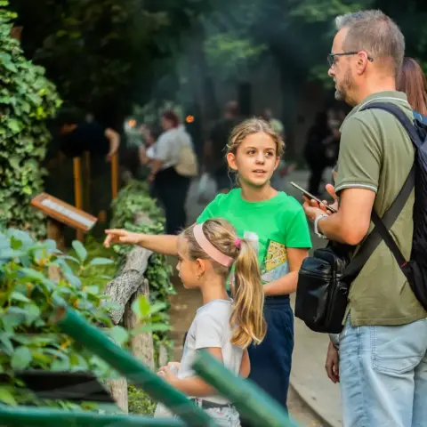 Belépőjegy a Kecskeméti Vadaskertbe