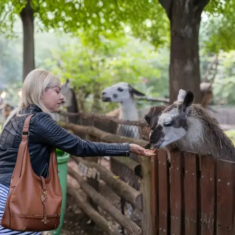 Páros belépőjegy a Kecskeméti Vadaskertbe