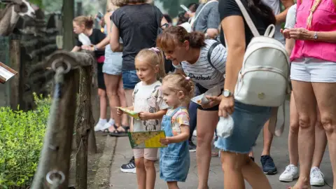 Belépőjegy a Kecskeméti Vadaskertbe 6