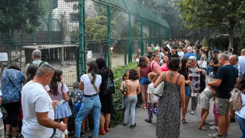 Belépőjegy a Kecskeméti Vadaskertbe 1