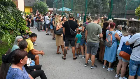 Belépőjegy a Kecskeméti Vadaskertbe 41