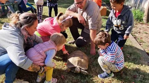 Belépőjegy a Kecskeméti Vadaskertbe 8