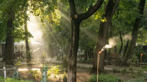 Belépőjegy a Kecskeméti Vadaskertbe 7