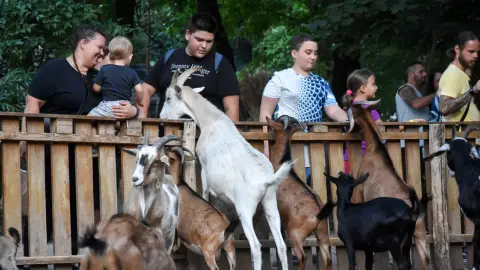 Belépőjegy a Kecskeméti Vadaskertbe 33