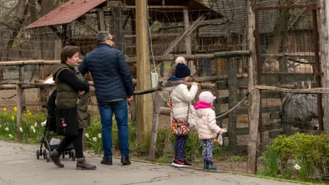 Belépőjegy a Kecskeméti Vadaskertbe 2