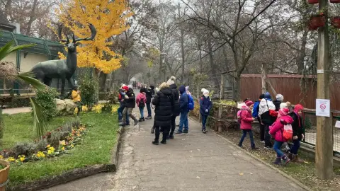 Belépőjegy a Kecskeméti Vadaskertbe 23