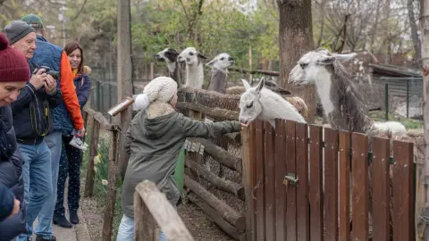 Belépőjegy a Kecskeméti Vadaskertbe 20