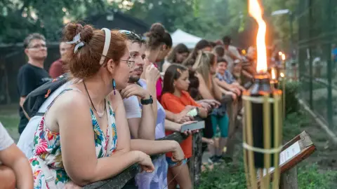 Belépőjegy a Kecskeméti Vadaskertbe 16