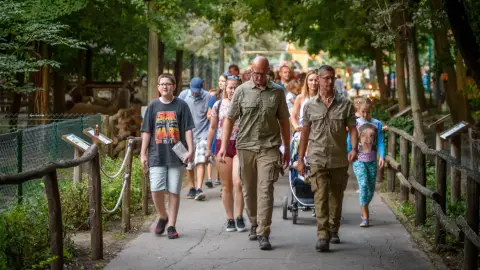 Belépőjegy a Kecskeméti Vadaskertbe 35