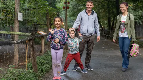 Belépőjegy a Kecskeméti Vadaskertbe 5