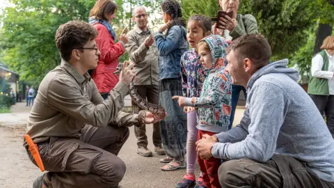 Belépőjegy a Kecskeméti Vadaskertbe 42