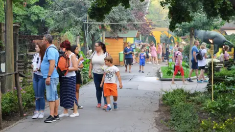 Belépőjegy a Kecskeméti Vadaskertbe 46