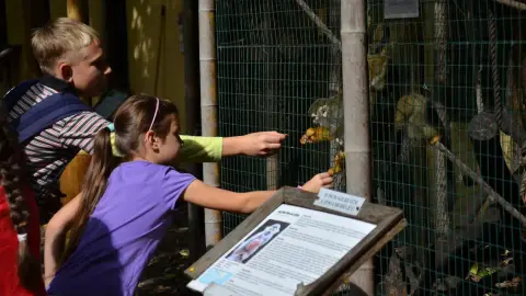 Belépőjegy a Kecskeméti Vadaskertbe 26