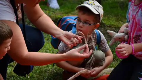 Belépőjegy a Kecskeméti Vadaskertbe 36
