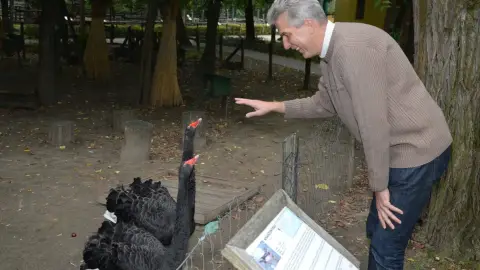 Belépőjegy a Kecskeméti Vadaskertbe 24