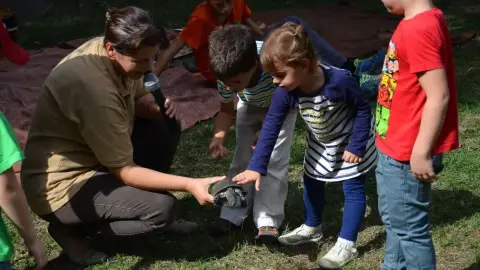 Belépőjegy a Kecskeméti Vadaskertbe 12