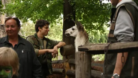 Belépőjegy a Kecskeméti Vadaskertbe 19