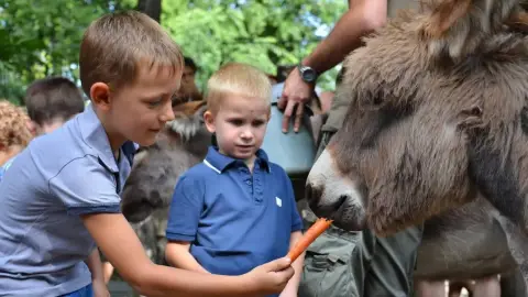 Belépőjegy a Kecskeméti Vadaskertbe 14